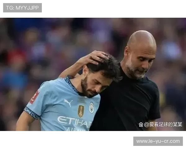 瓜迪奥拉治下曼城王朝:英超称霸与传控革命全纪实巅峰十年 瓜迪奥拉治下曼城王朝:英超称霸与传控革命全纪实巅峰十年